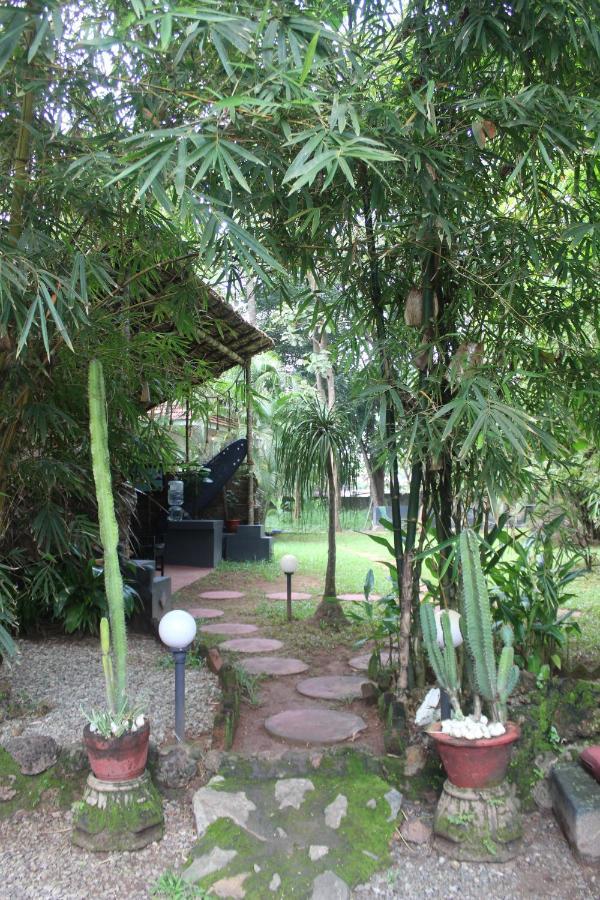 Mint Inside Garden Apartment Varkala Ngoại thất bức ảnh