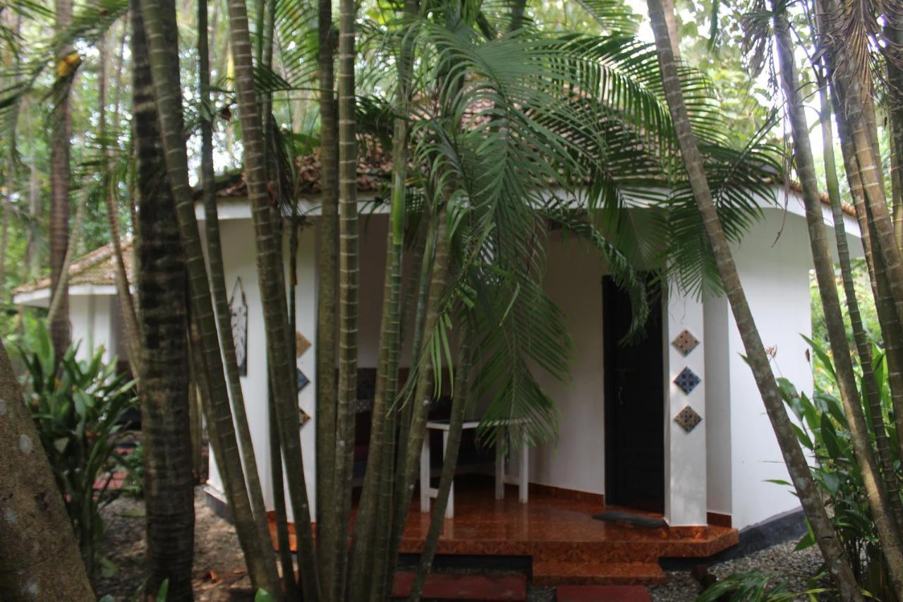 Mint Inside Garden Apartment Varkala Ngoại thất bức ảnh